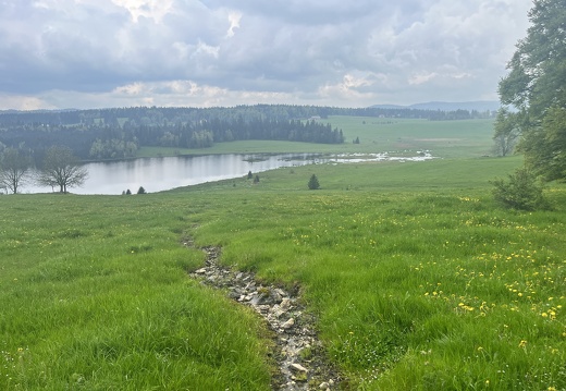 23-05-23 12-48-49 5587